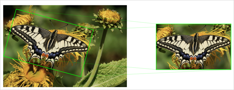 SchÃ©ma dÃ©coupe papillon avec un rectangle orientÃ©