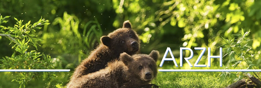 https://fr.wikipedia.org/wiki/Fichier:Ours_brun_autriche.jpg Welcome banner Img
